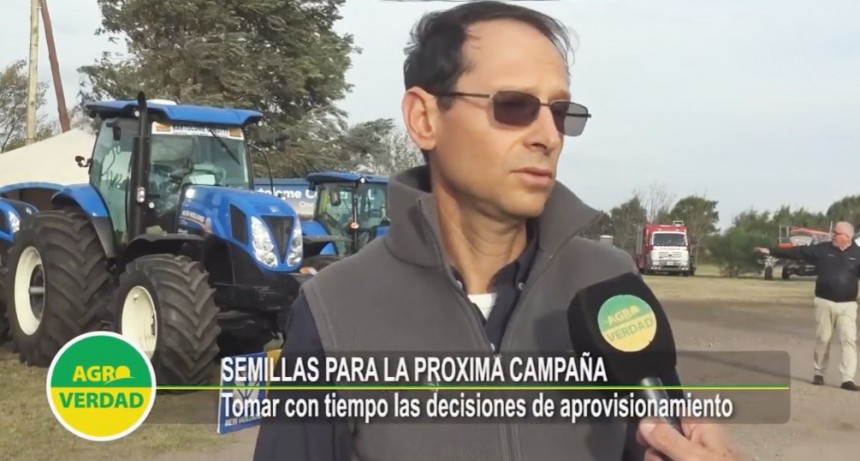 Semillas de soja y maíz: opciones para “zafar” de la escasez