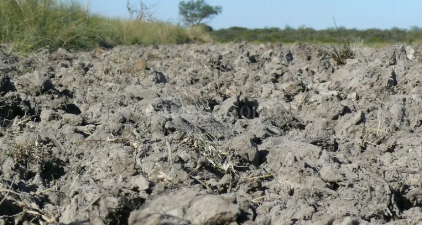 Composición del suelo: El enemigo silencioso