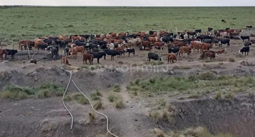 La informalidad y el abandono agravan la sequía, que sigue pegando en el norte santafesino 