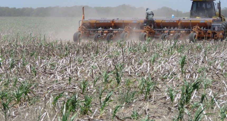 Importante caída de las exportaciones santafesinas en el primer cuatrimestre