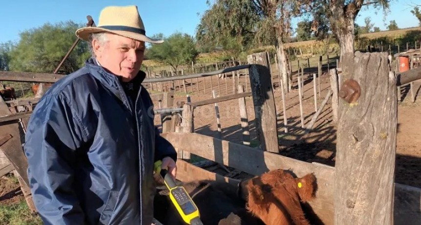 Genética y pasto, las claves para crecer 