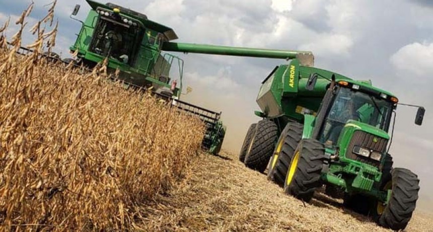 Menos de media cosecha: se confirma la peor producción de soja de la década en Córdoba