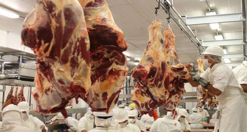 Fuerte suba de la faena bovina en mayo