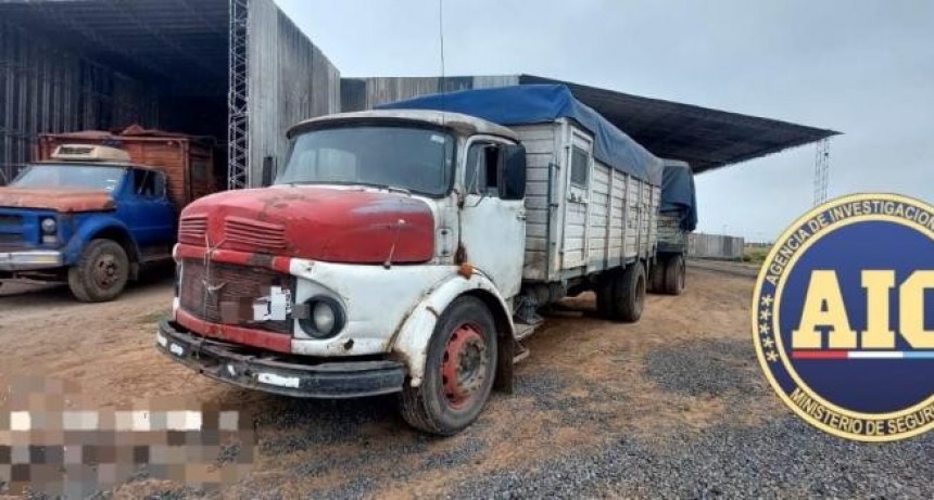 Incautaron más de 45 mil kilos de oleaginosas y $3 millones en Serodino