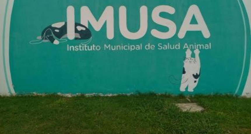 Perros de razas peligrosas sueltos en la ciudad: 