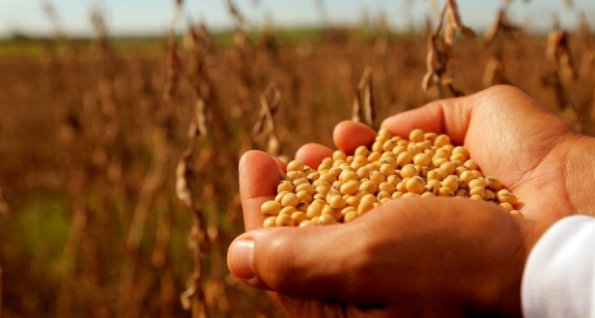Productores santafesinos pagarán U$S 361 millones más