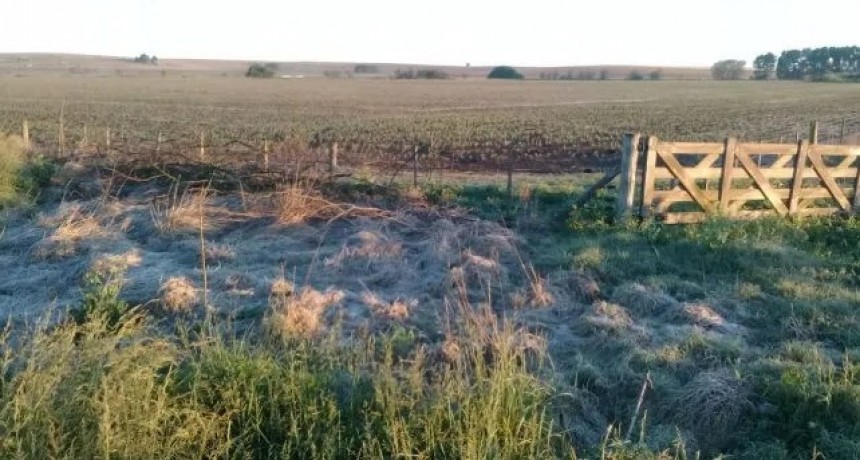 Vuelve el frío y las heladas fuertes a la zona núcleo