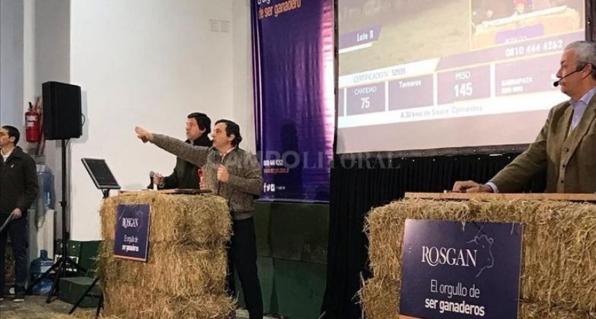  Julio con remates de cabañas, especiales de invernada y subastas en Palermo