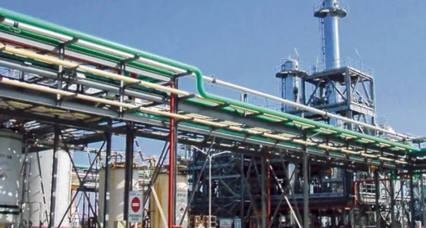 Cómo funciona el mercado del biodiésel