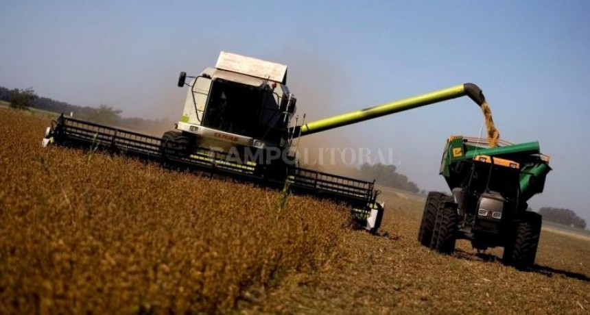 Liquidación récord de agro divisas 