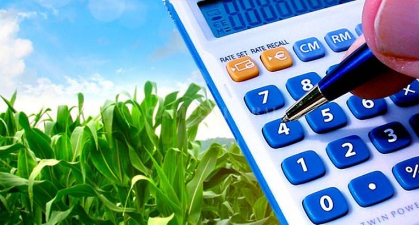 Incertidumbre y altos costos, las mayores amenazas para el maíz