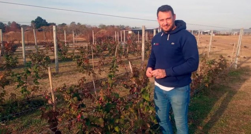 Cosecharás tu siembra: un plan orgánico e intensivo