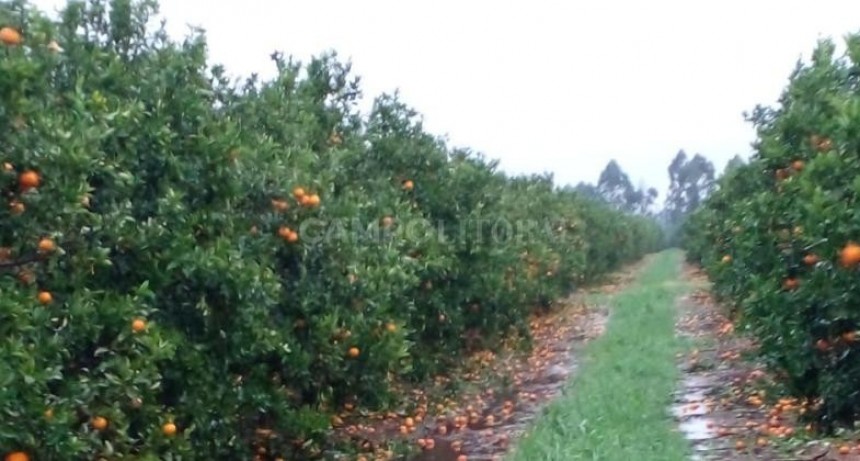 Cayeron piedras en Malabrigo 