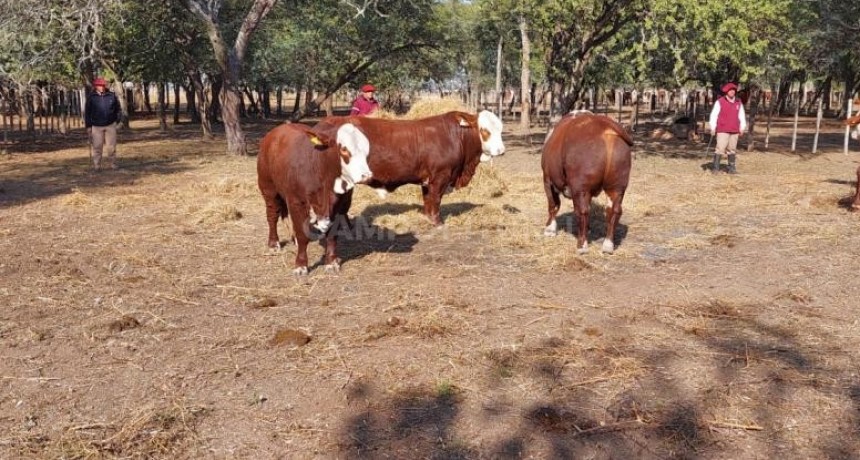  Día de campo en Cabaña 
