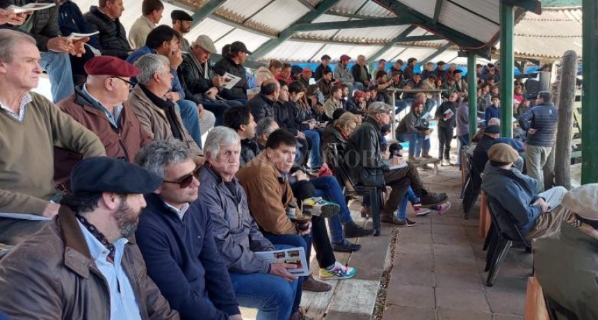 Pilagá logró precios millonarios 