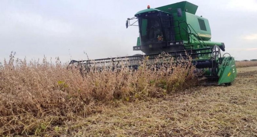  Los precios salvaron a la campaña sojera