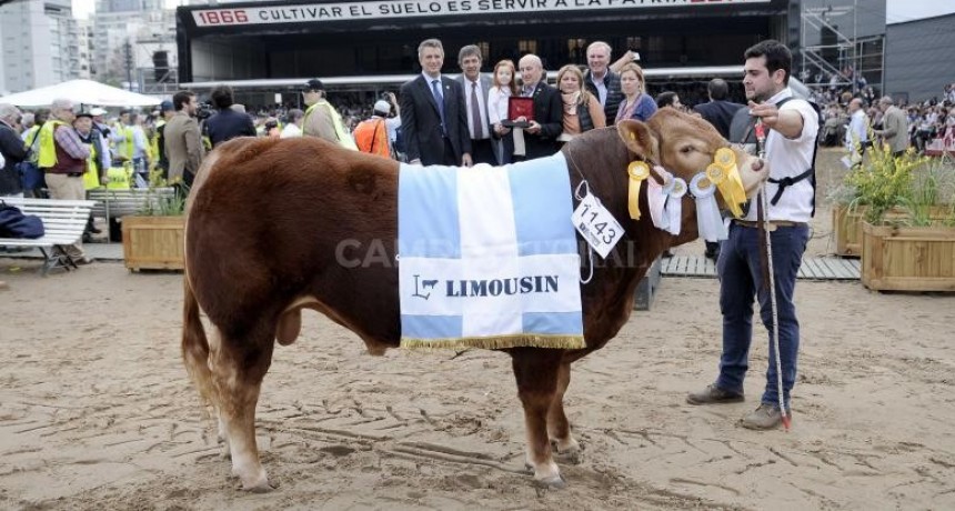  Carne con acento francés
