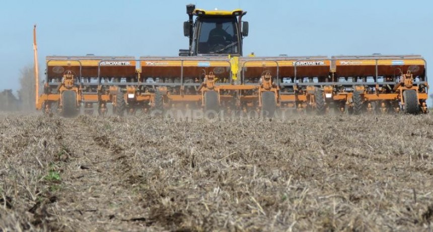 Avanza el financiamiento a productores para la siembra de trigo y maíz 