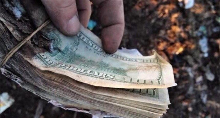 Insólito: trabajadores encontraron 50 mil dólares en un basural del sur santafesino