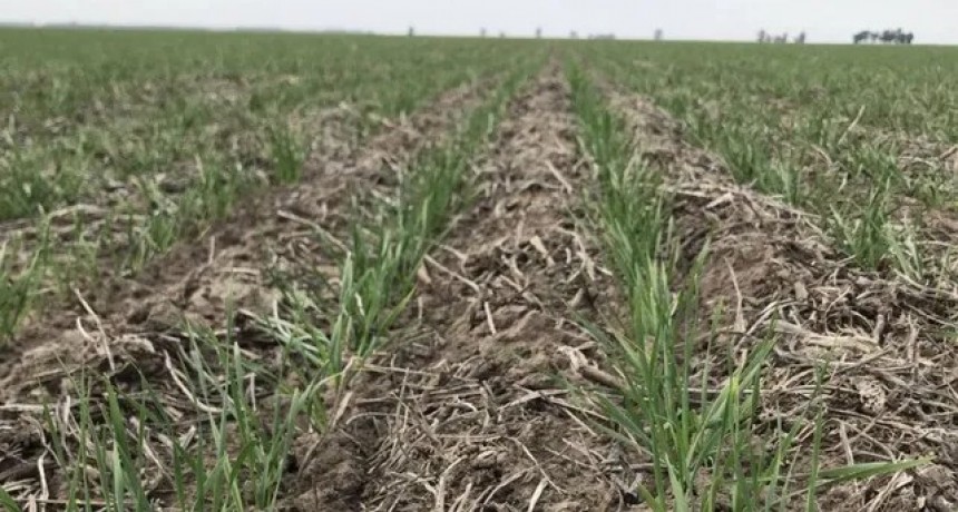 Clima: sin lluvias y con La Niña que se extiende hasta octubre