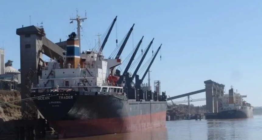 El precio de los granos se desinfla y el trigo sigue recortando área