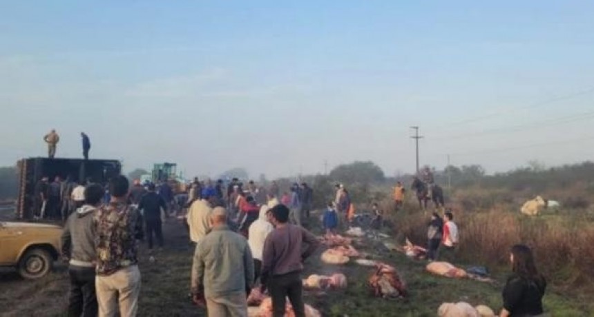 Un camión que trasladaba vacas volcó a la altura de Calchaquí, y vecinos carnearon a los animales 
