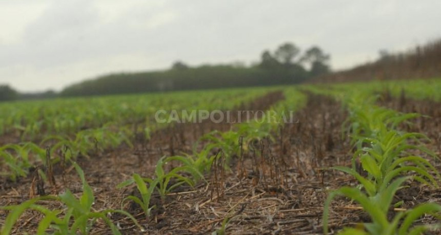 Escasa probabilidad de lluvias para la semana 