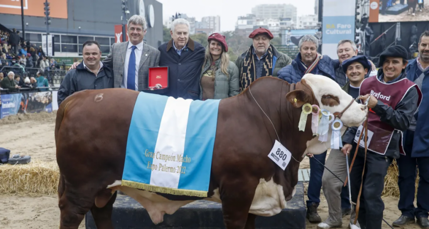 Braford consagró a sus grandes campeones en la Exposición Rural de Palermo