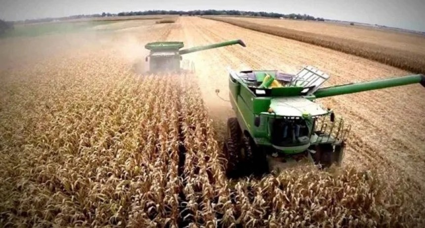 El Banco Central creó un nuevo tipo de cambio para que los productores liquiden la cosecha