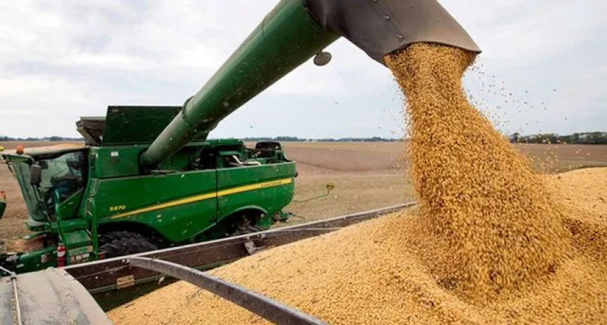 La Sociedad Rural relativizó la efectividad del tipo de cambio para el agro