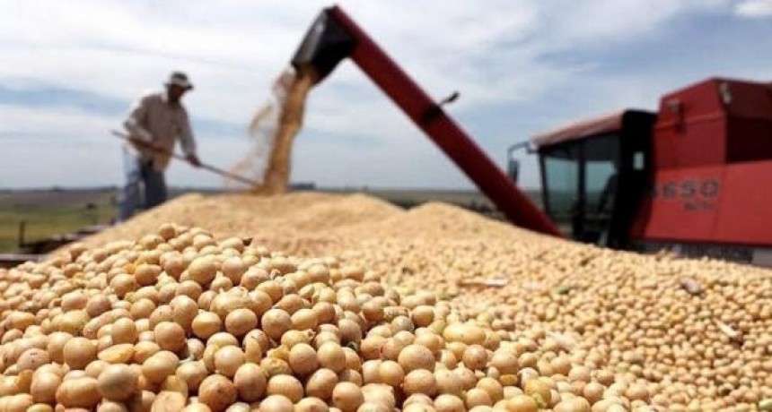 El BCRA estima sumar, al menos US$ 2.500 millones a las reservas con el 