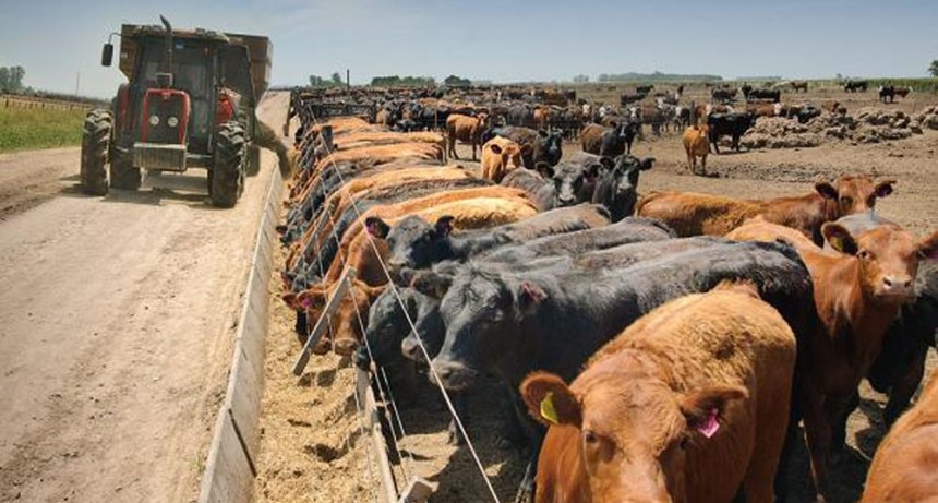 Oportunidades y desafíos de un mercado ganadero que se reconfigura