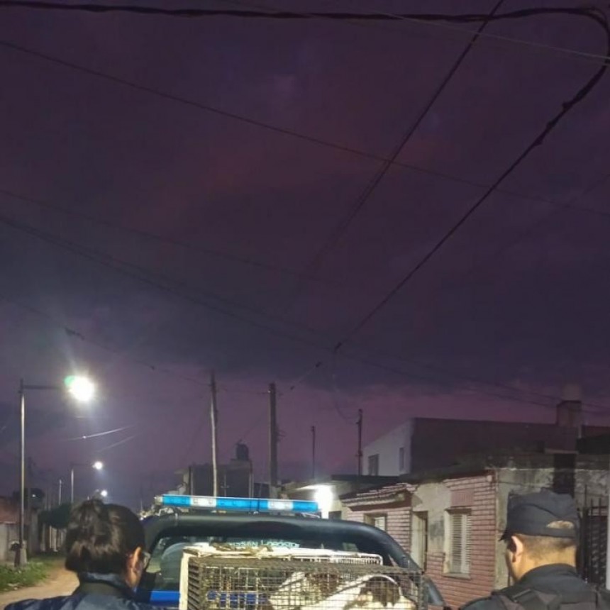 Arrestaron al dueño de los perros que atacaron a la beba de 18 meses y su abuela