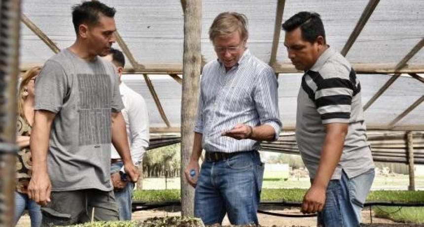 Bahillo descart&oacute; un D&oacute;lar Soja 4 pero admiti&oacute; que estudian cambios en el esquema de retenciones