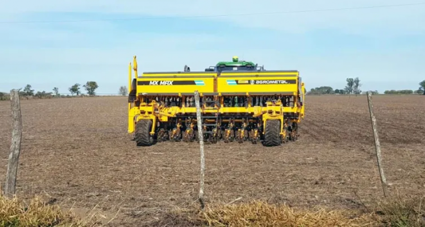 Mazazo para el trigo en el oeste de la zona núcleo