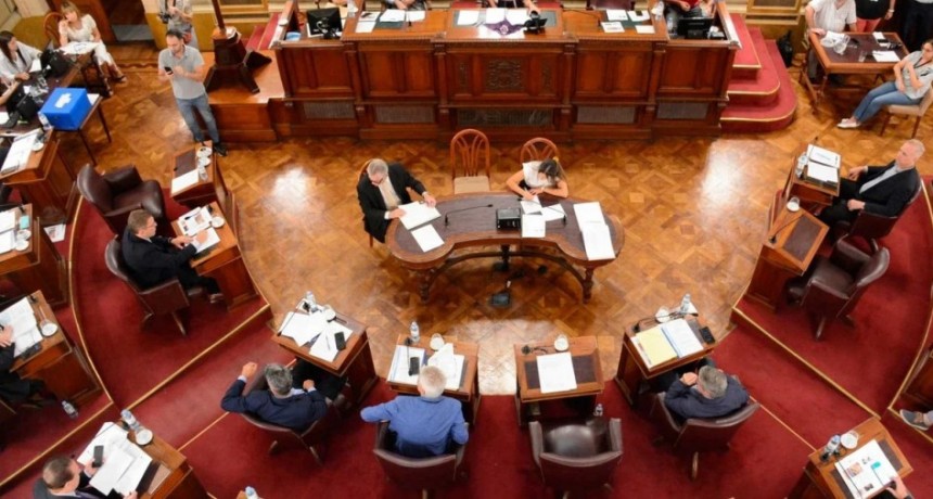 Son senadores los únicos peronistas que festejaron