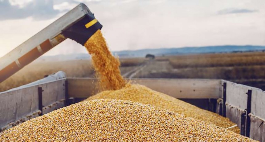 Todo puede pasar ante la incertidumbre del clima y los rumores de dólar agro