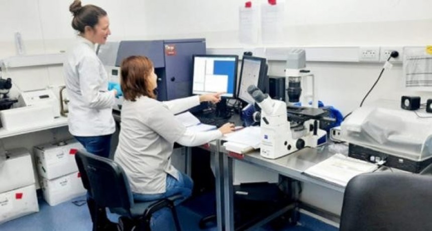 El Incucai habilitó una nueva tecnología beneficia a pacientes de Santa Fe en espera de trasplante