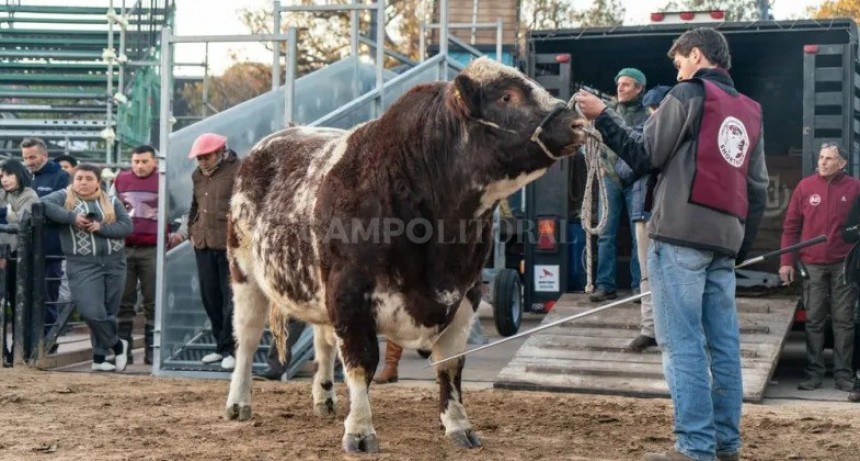  Mercosur y Pericón, los pimeros animales en ingresar a Palermo