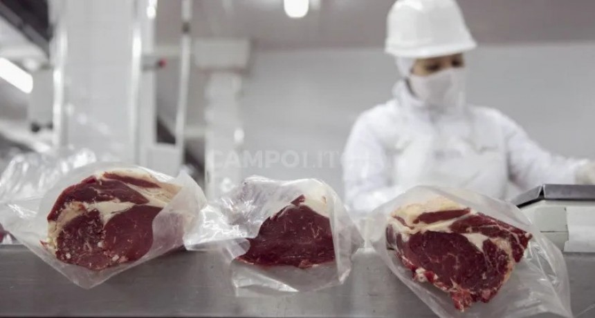 Cuota Hilton: reparos de un sector frigorífico a los criterios de distribución 