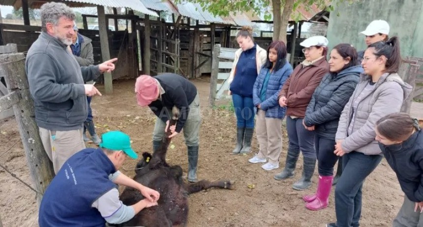 Las Gamas se hizo aula y estudiantes de veterinaria hicieron prácticas con la hacienda 
