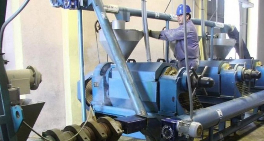 Proponen una nueva ley de biocombustibles