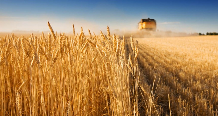 El valor de los granos podrían subir 15% por la caída del acuerdo entre Rusia y Ucrania