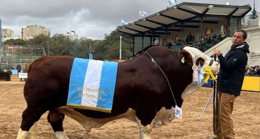 El Gran Campe&oacute;n Macho Braford en Palermo tiene tonada cordobesa