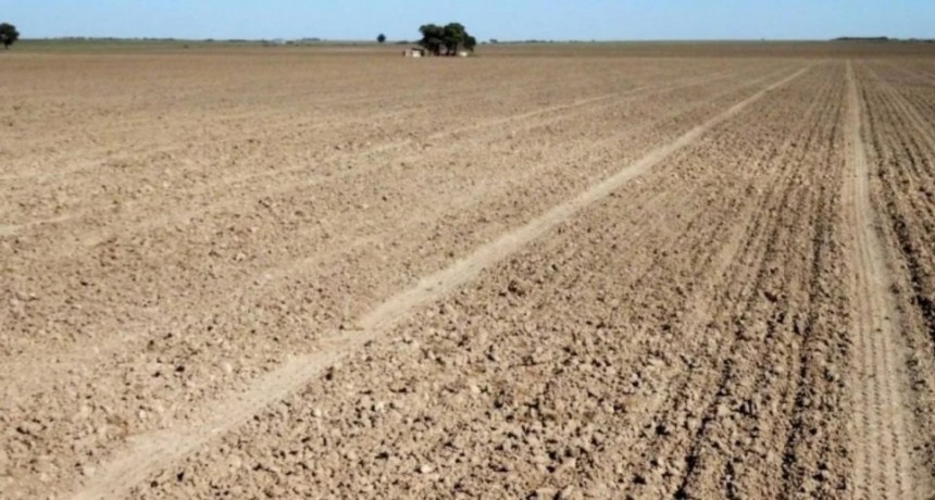 Para Costamagna, la llegada de El Niño es una buena noticia tras la sequía