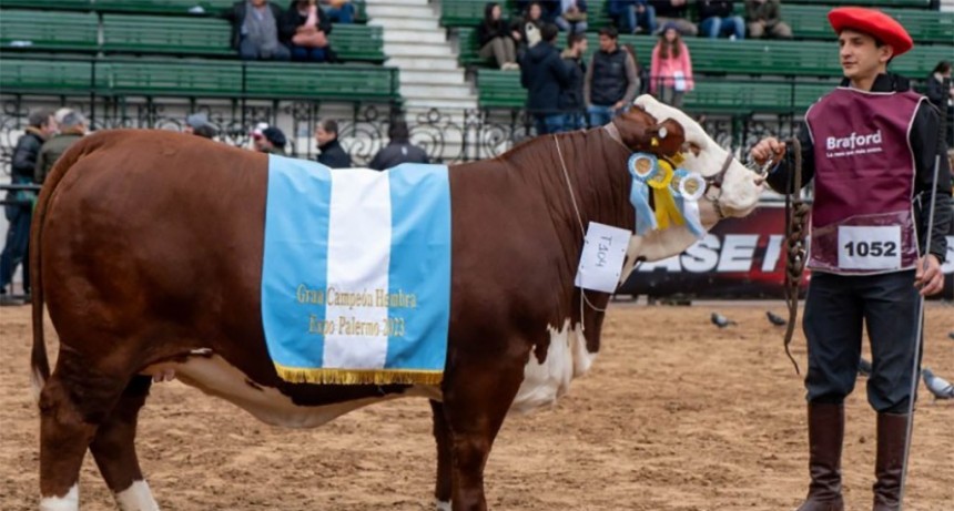 Un productor y dirigente de AFA compró a precio récord una vaca Braford en la Expo Rural de Palermo