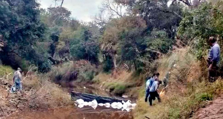 Caso Cecilia Stryzowski: no pudieron hallar rastros de ADN de los huesos quemados