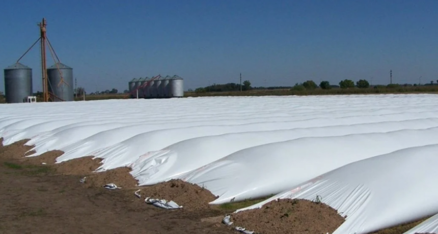 Los productores guardan en silos los dólares que el gobierno necesita
