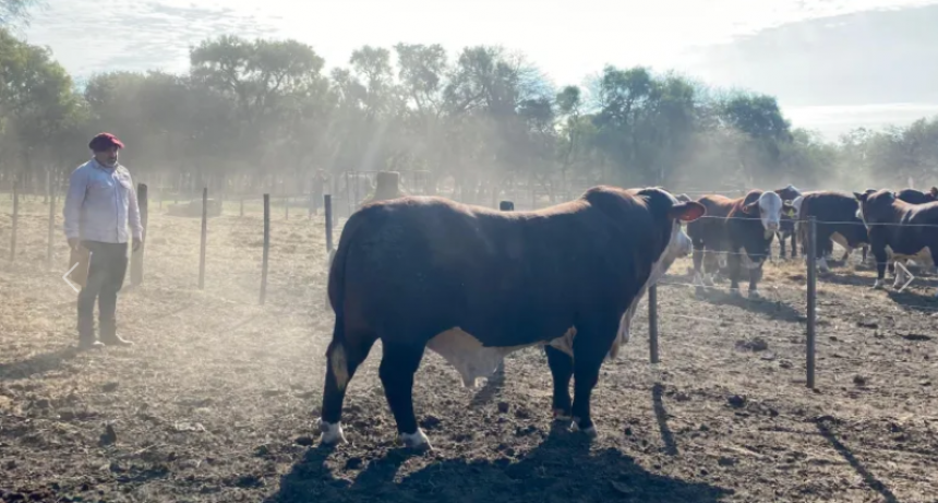DÍA DE CAMPO: UN EVENTO QUE UNE 