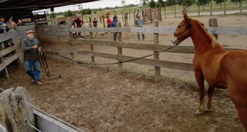 EXITOSO COMIENZO DEL CURSO DE CORRECCIÓN DE VICIOS EN CABALLOS Y PREVENCIÓN DE ACCIDENTES